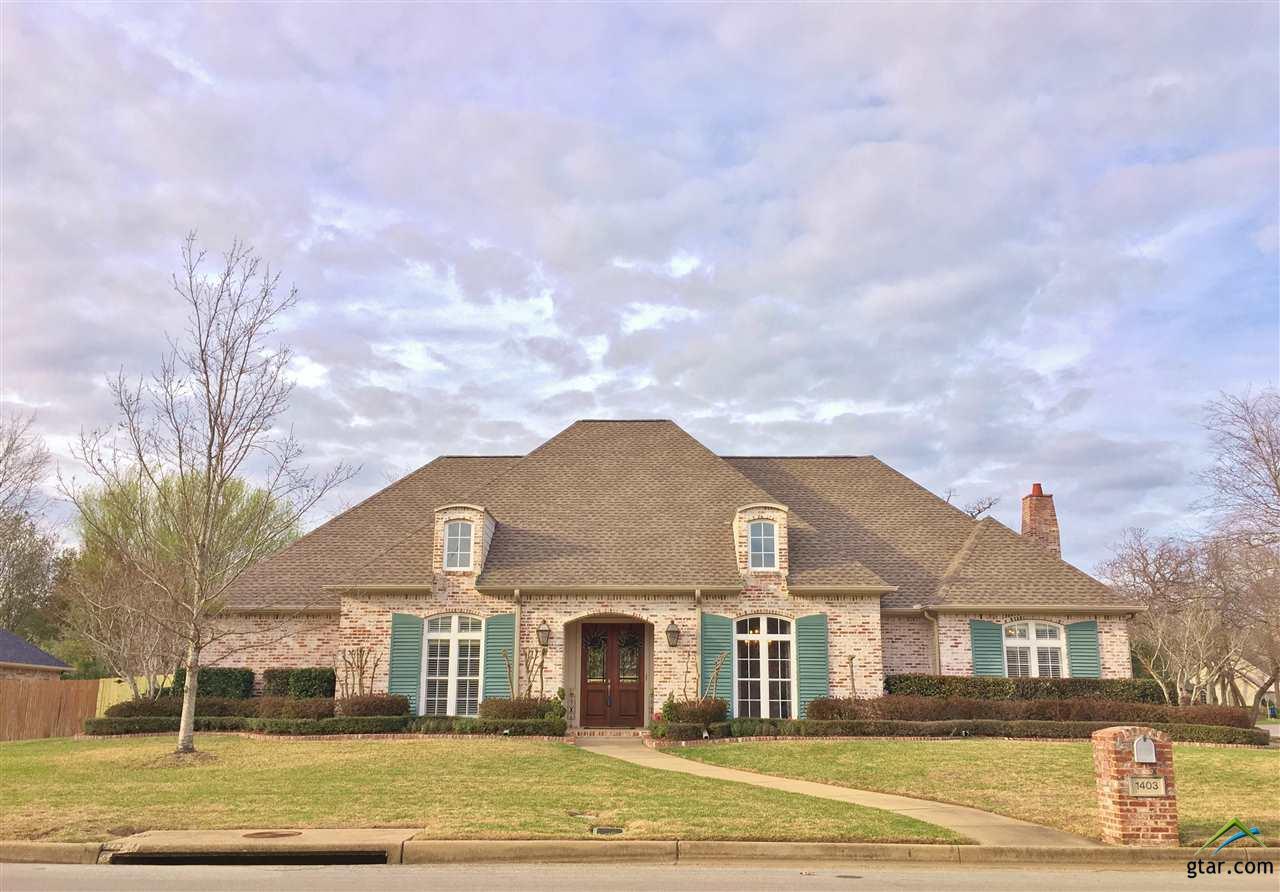 1403 Cold Water Dr - Photo 1