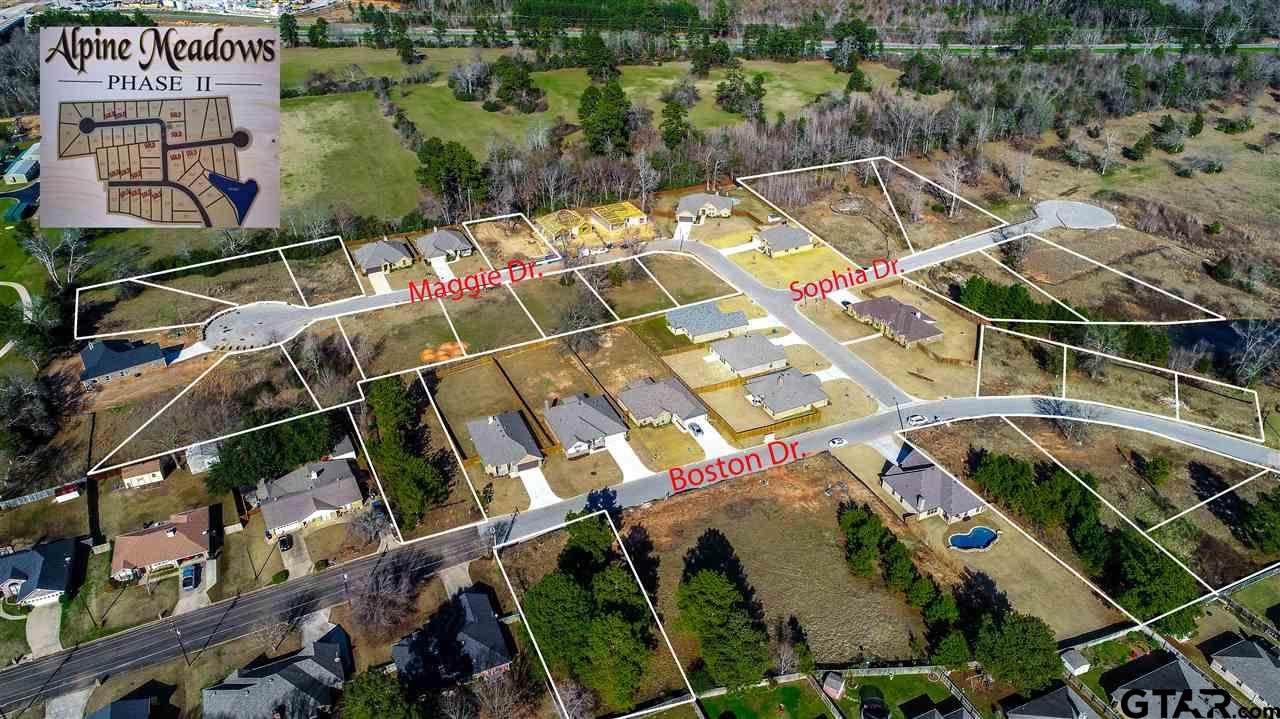 2511 Maggie Drive - Photo 1