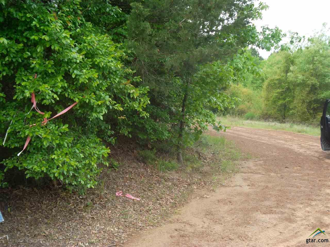 3844 Victory School Road - Photo 1