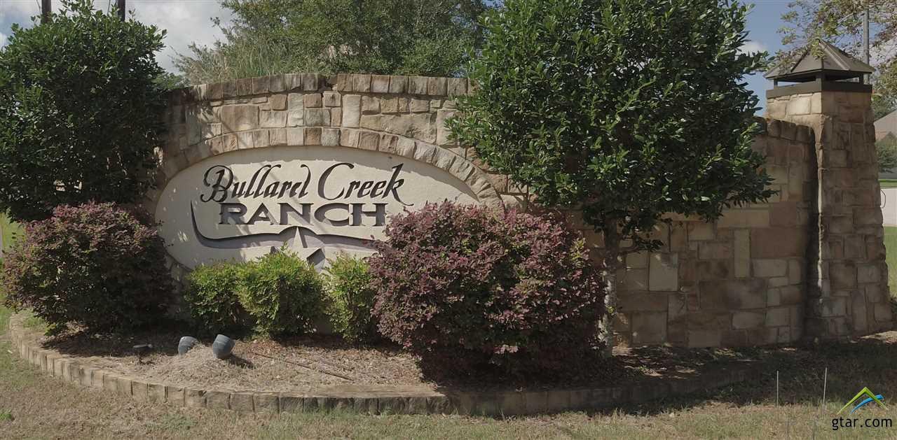 1029 Stagecoach Bend - Photo 1
