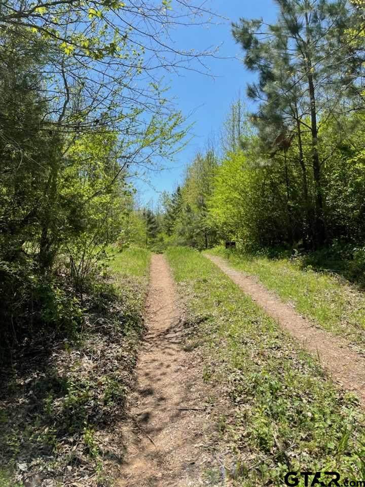 5624 Highway 84 East - Photo 1