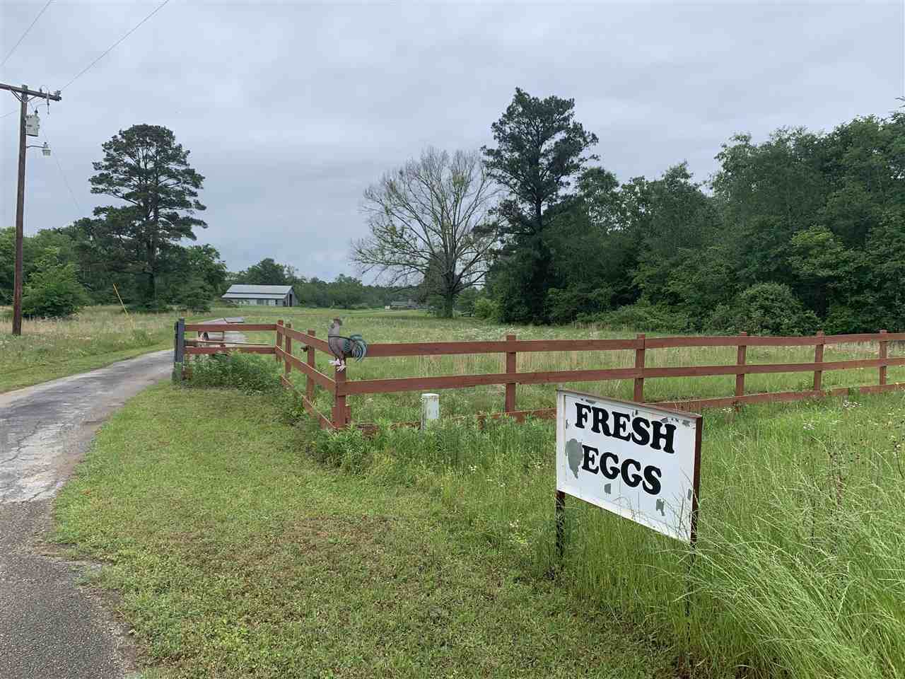 14372 S. Us Hwy 79 - Photo 1