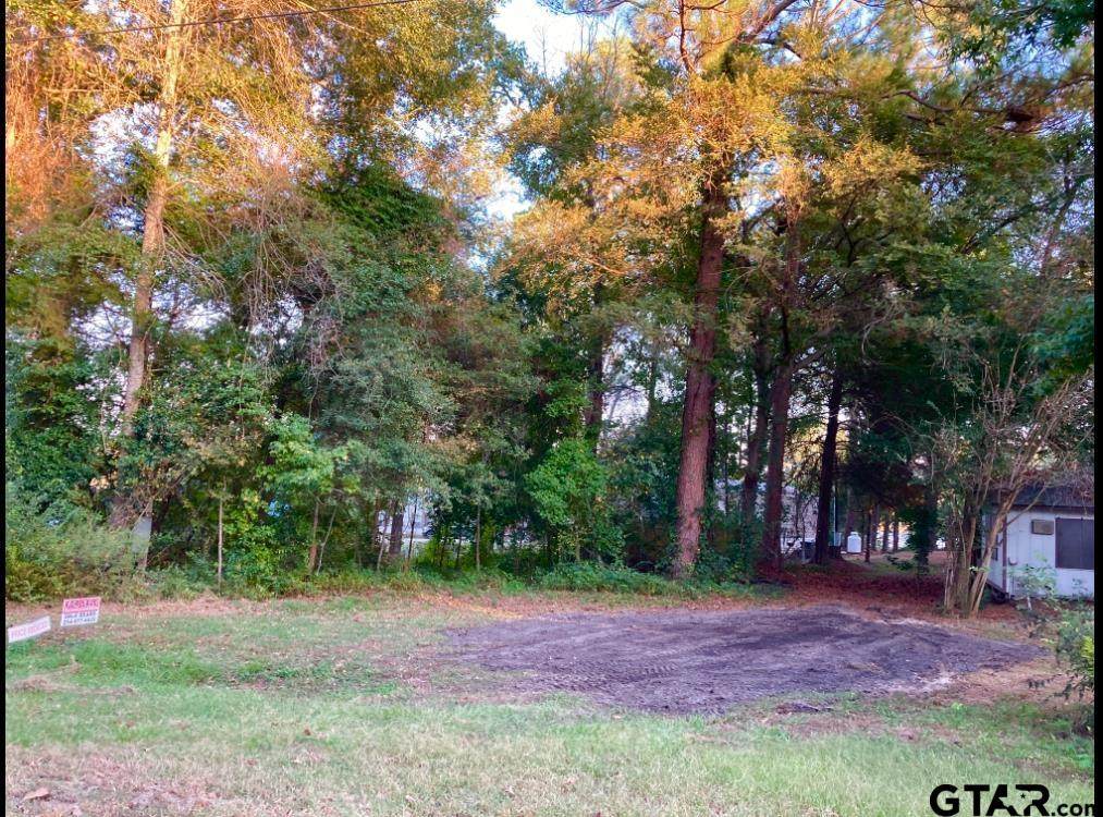 262 Walnut Trail - Photo 1