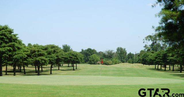 94 Ryder Cup Trail - Photo 1