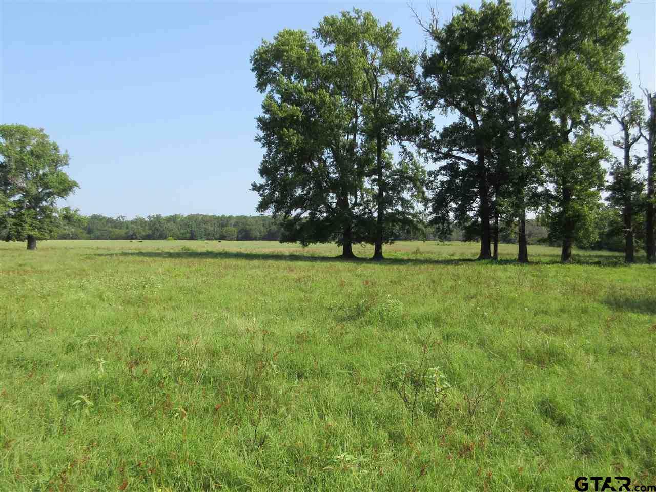 East of 2500 W Fm 515 - Photo 1