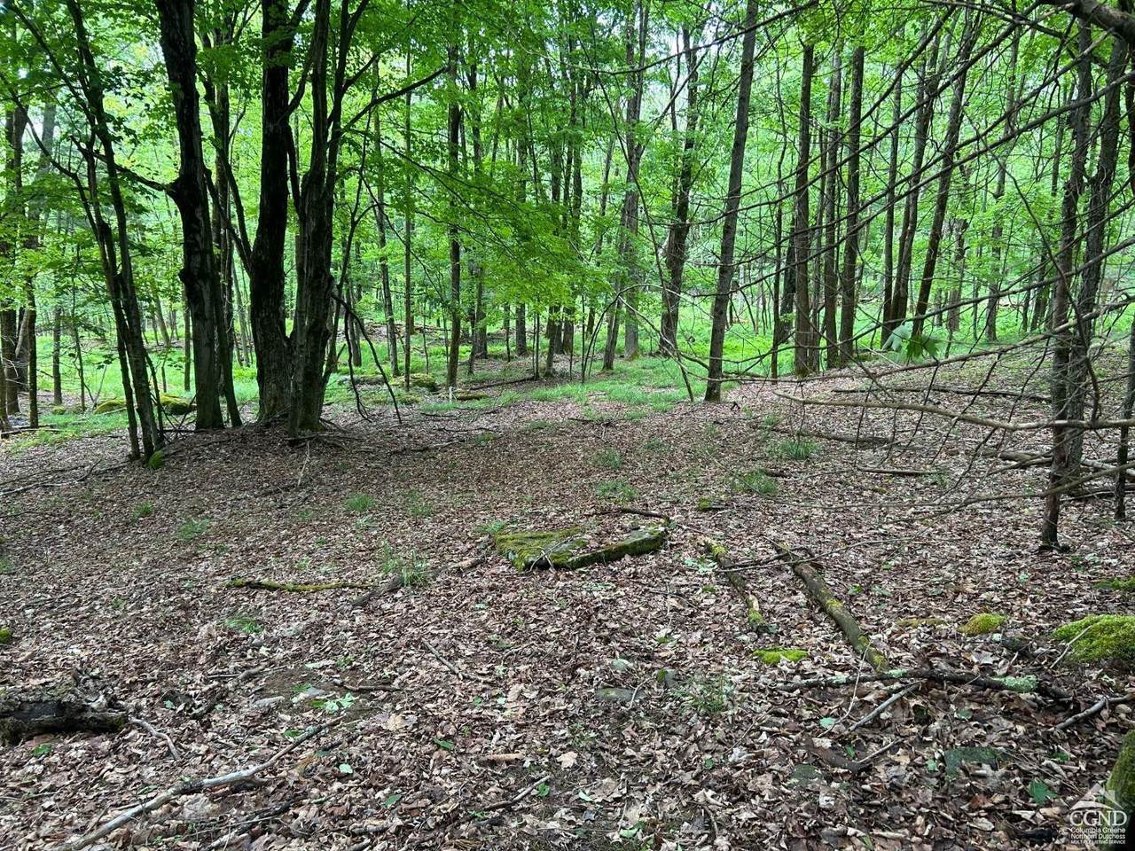 https://bt-photos.global.ssl.fastly.net/ulster/1280_boomver_1_155554-2.jpg