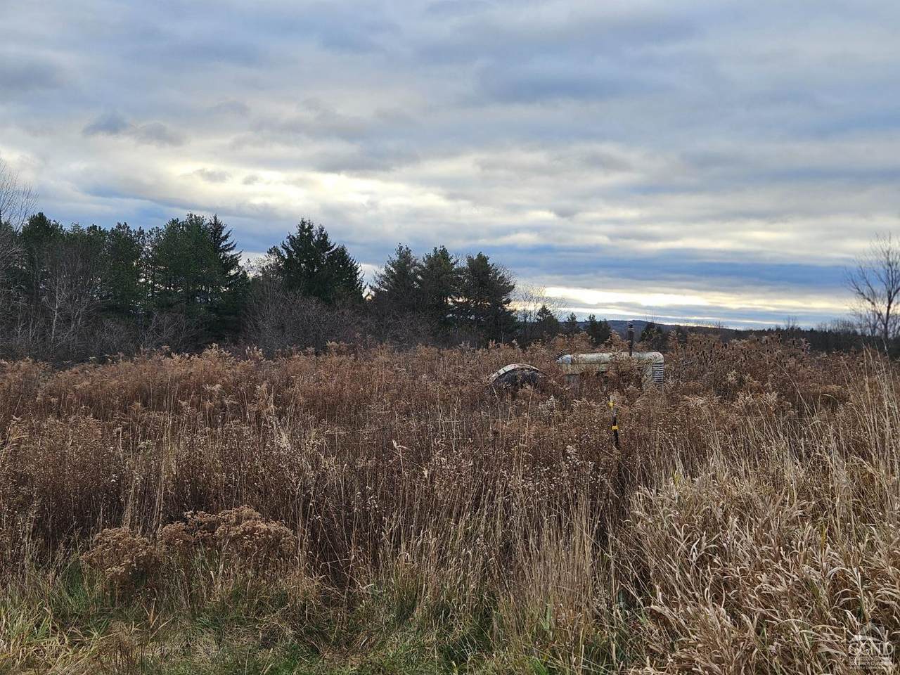 295 Shellstone Rd - Photo 1