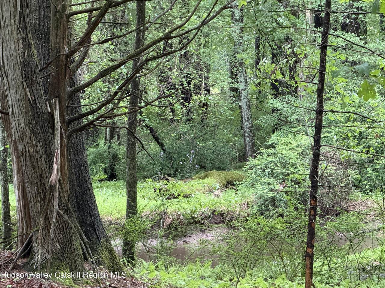 00 Whites Lane - Photo 1