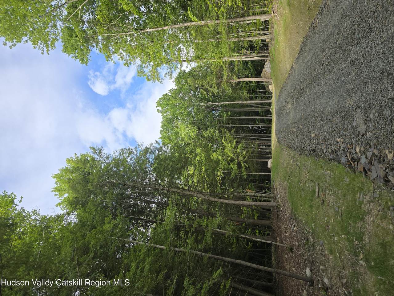 Tbd Avery Hand Lane - Photo 1