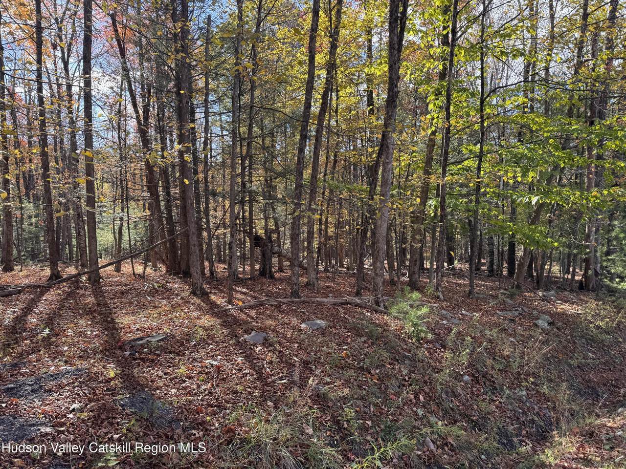 Tbd Cross Patch Road - Photo 1