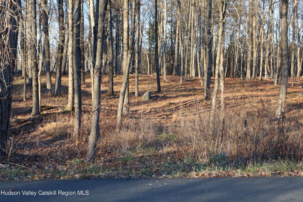 Tbd Hardenbergh - Photo 1