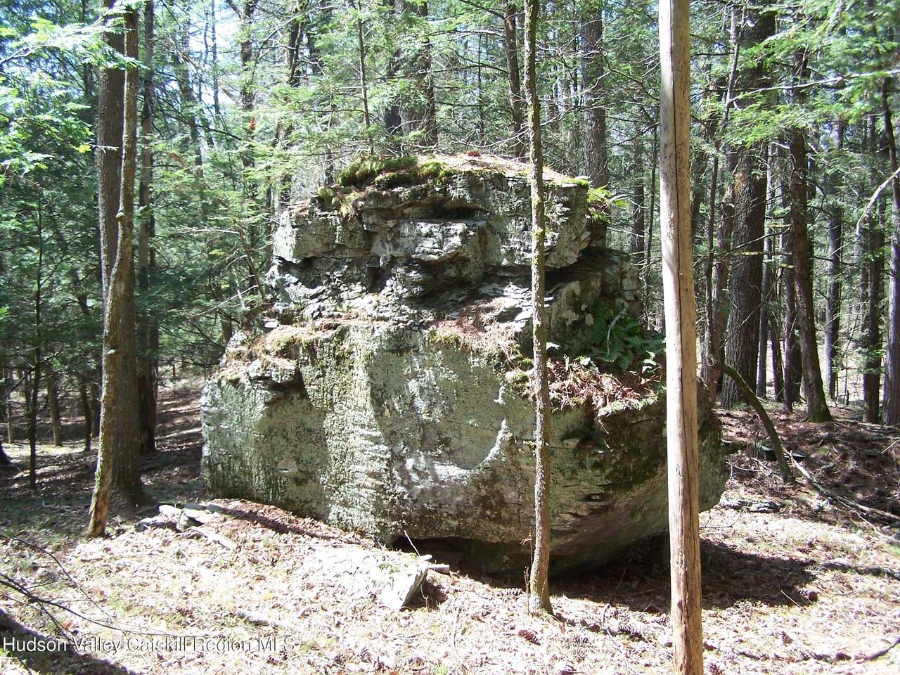 Tbd Buck Road - Photo 1