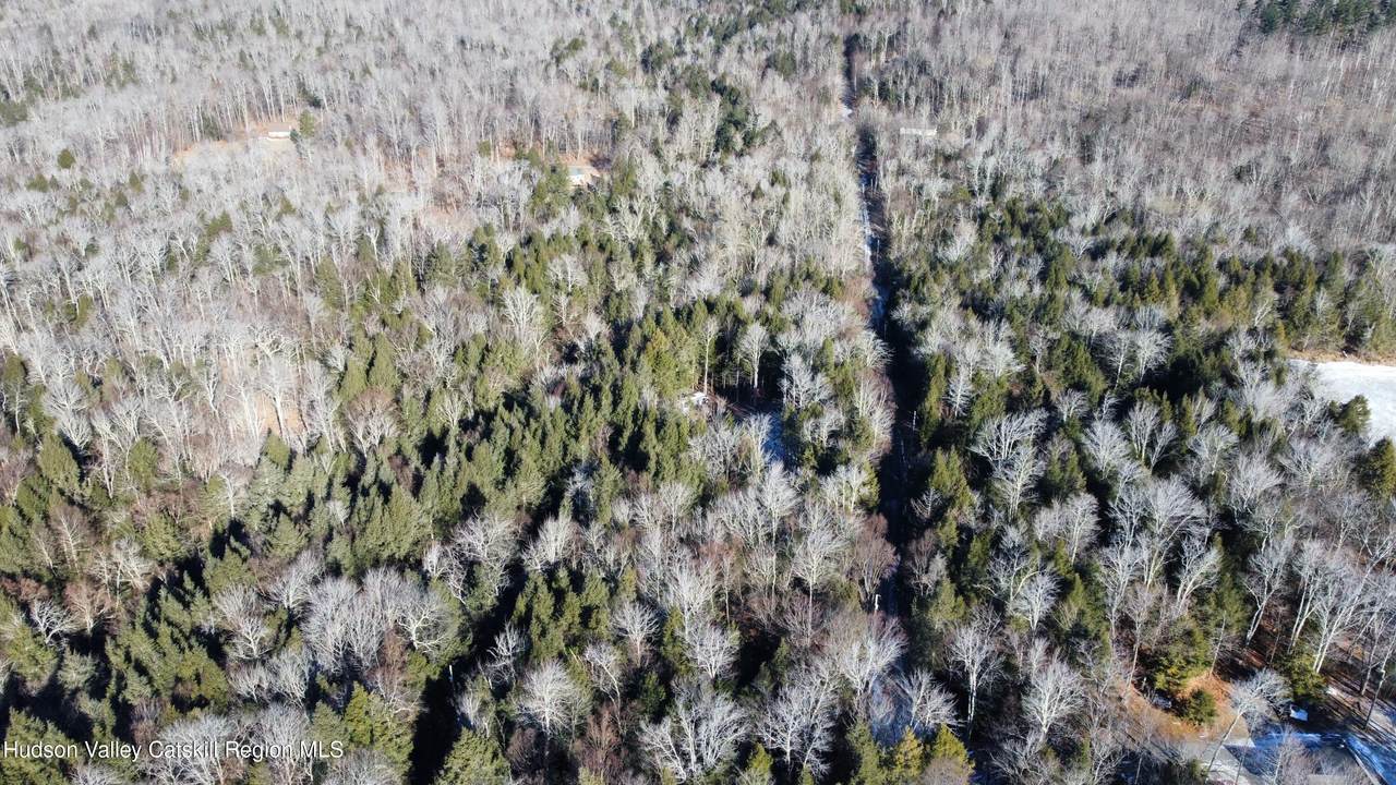 139 Woodland Trail - Photo 1