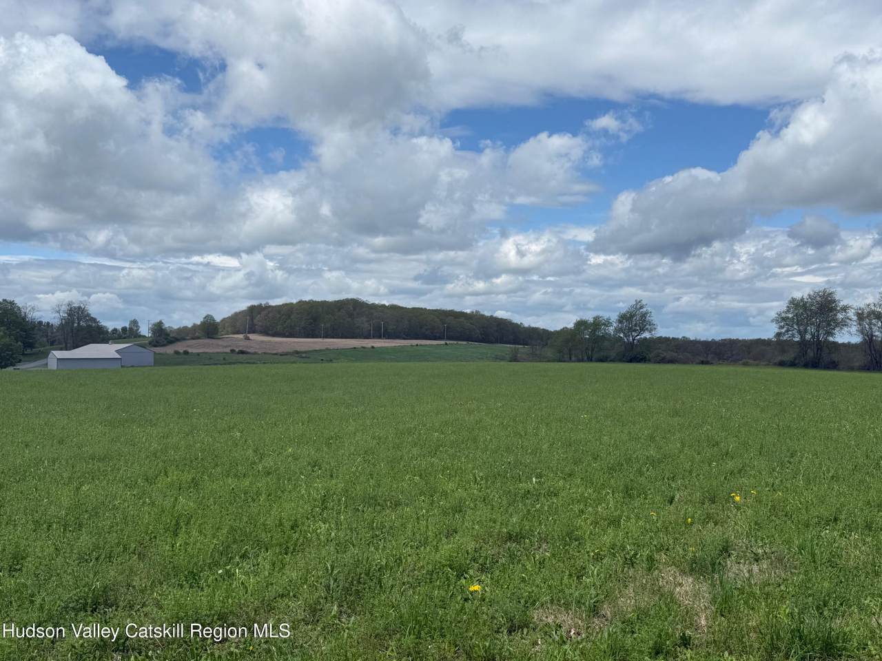 317 Skunks Misery Road - Photo 1