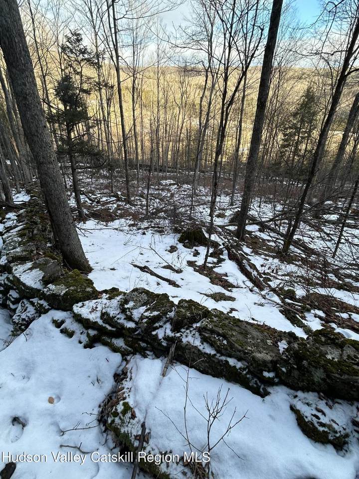 0 Kelly Corners-Denver-Vega Road - Photo 1