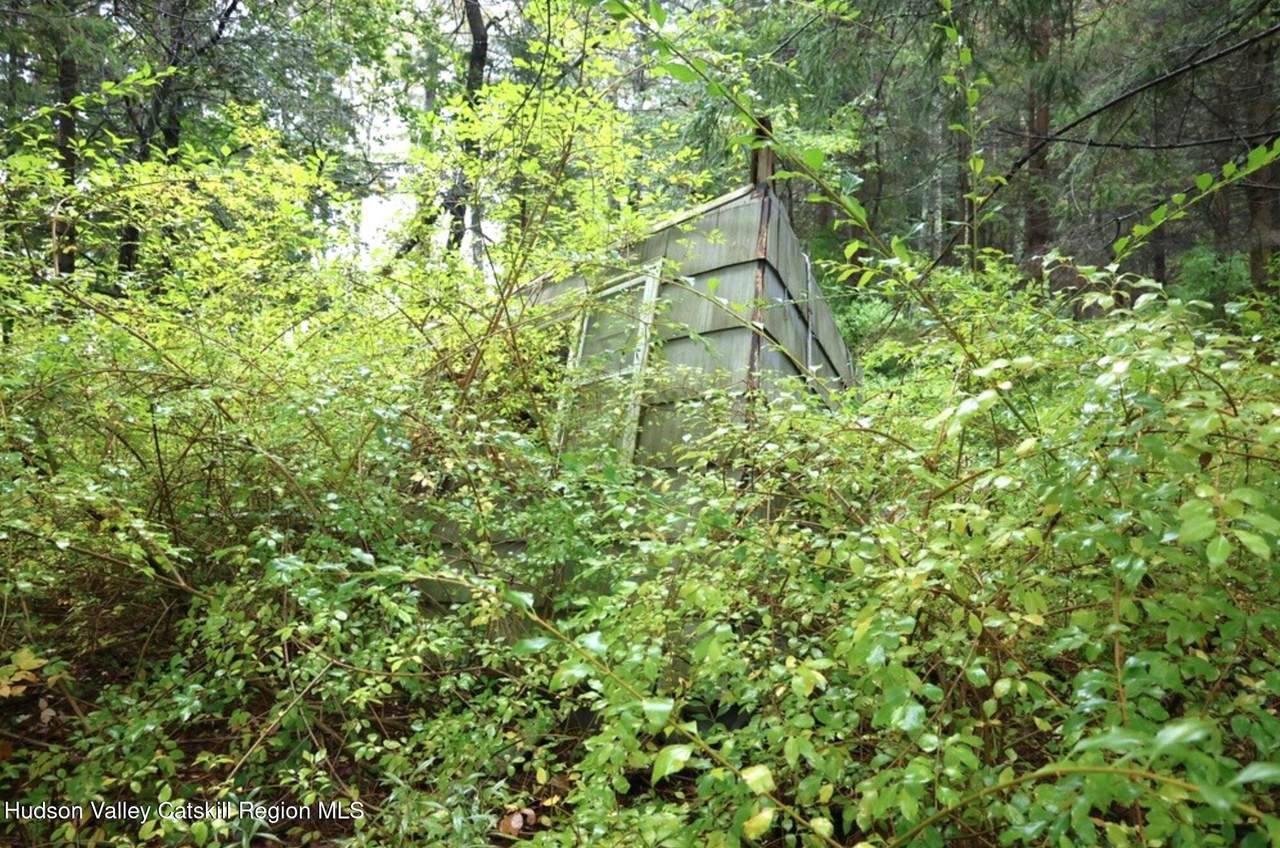 6067 Ny-81 - Photo 1