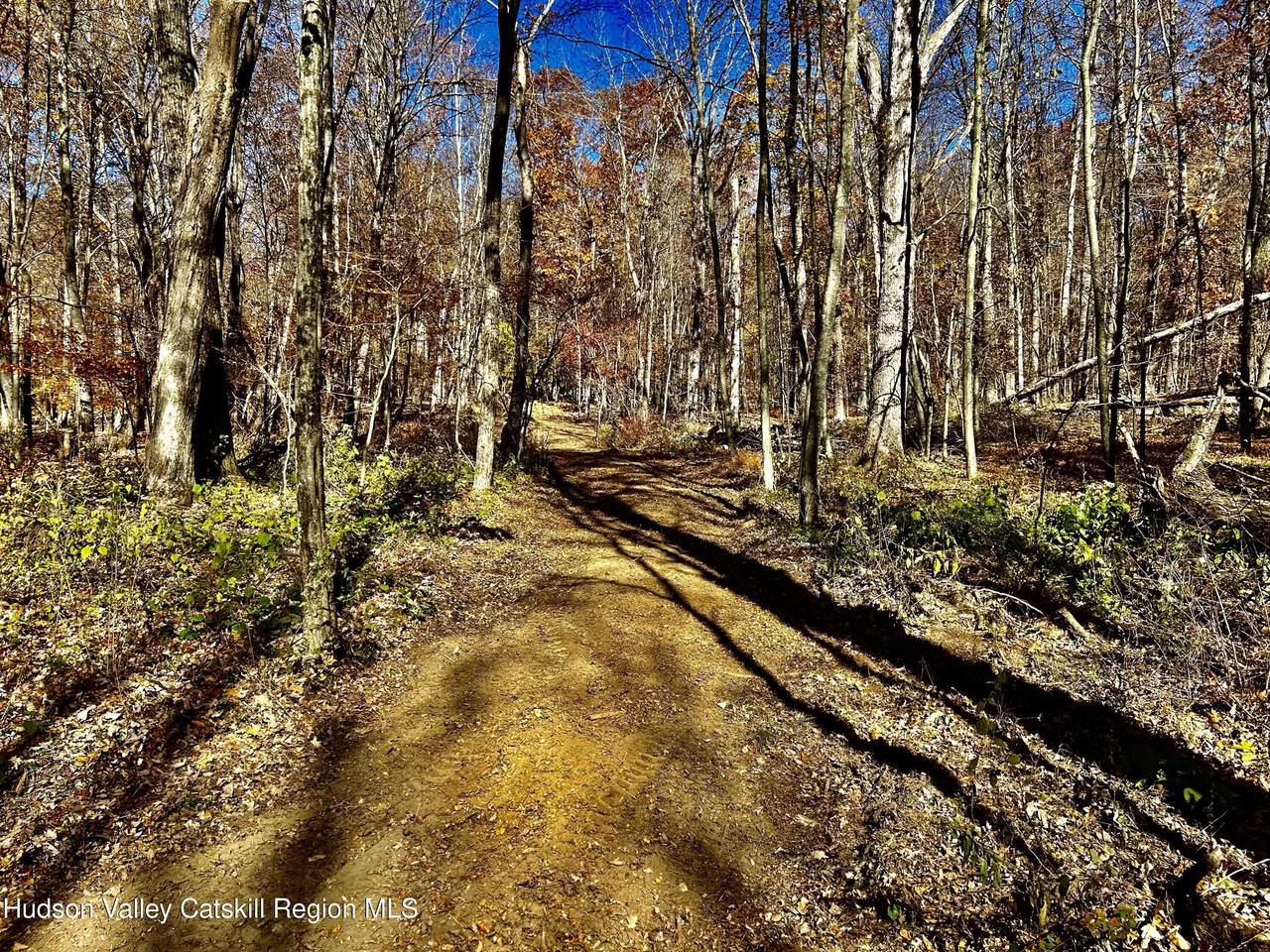 0000 Westfall Road - Photo 1