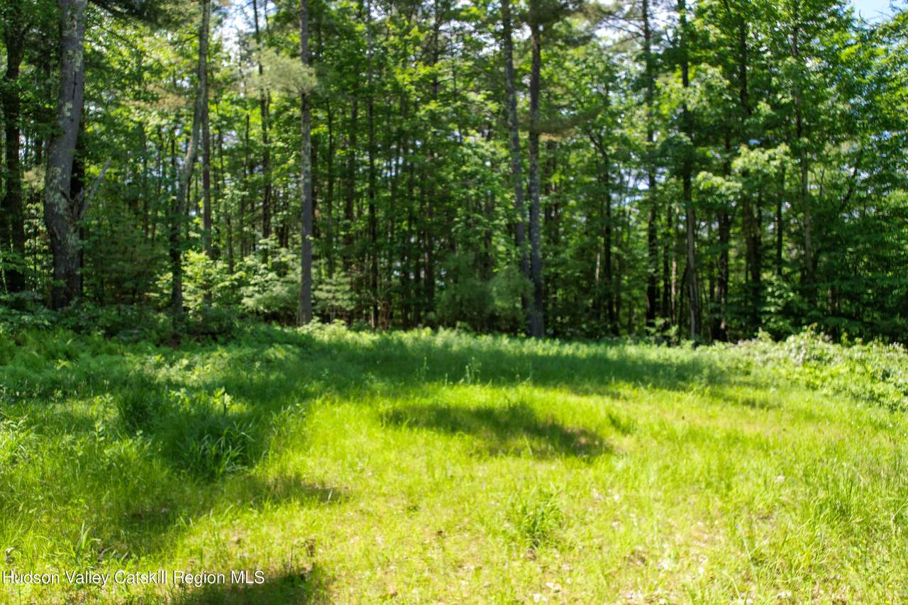 1604 Spruceton Road - Photo 1