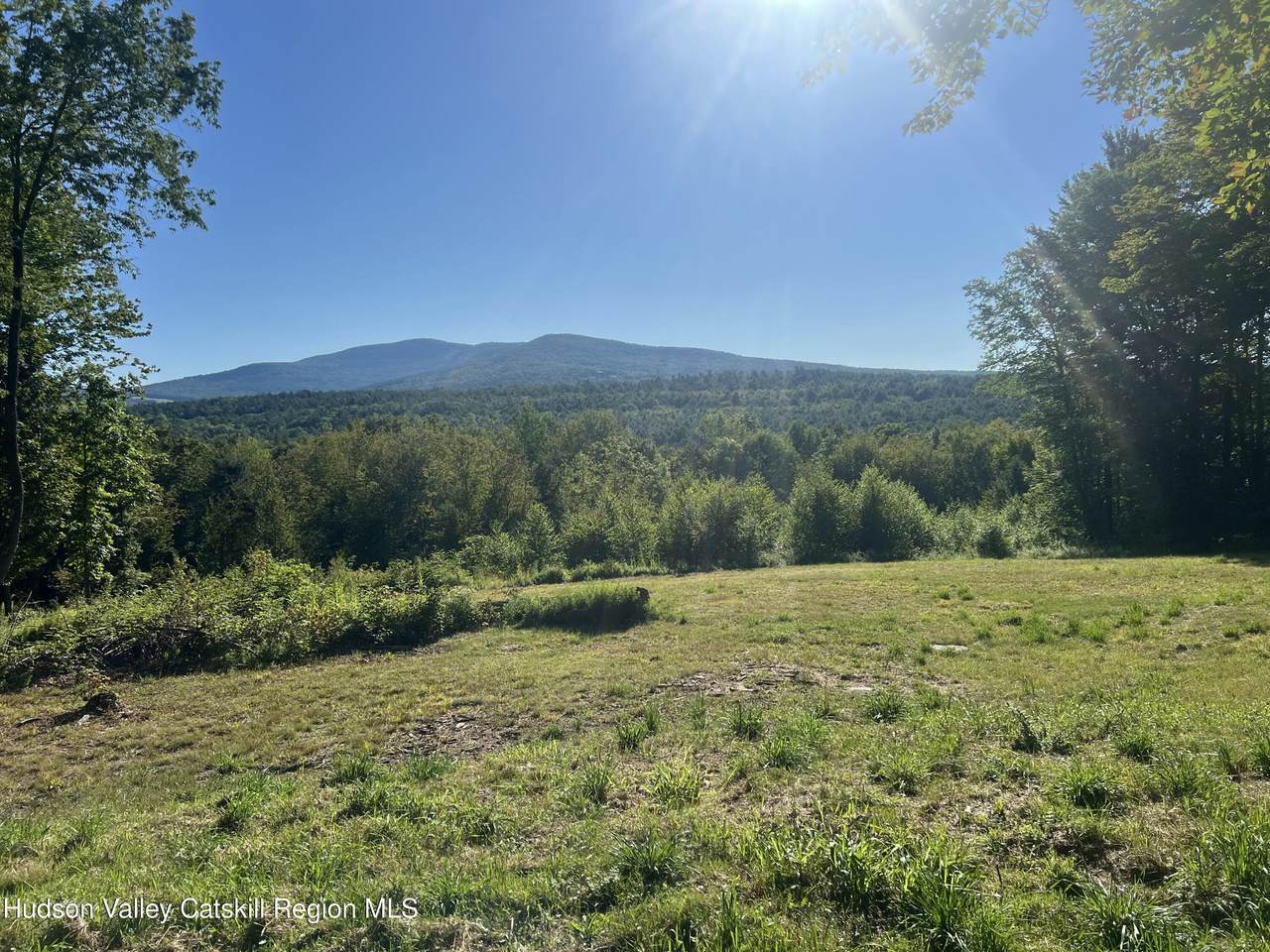 0 Blueberry Estate - Photo 1