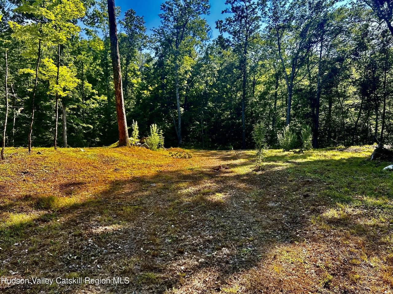 80 Forever Ivy Lane - Photo 1