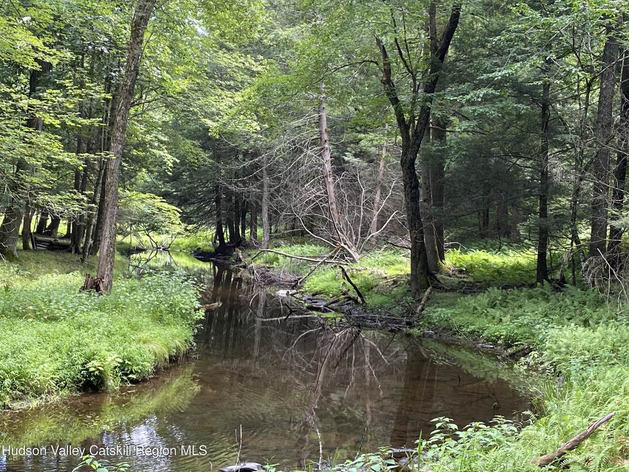 239 Sundale Road - Photo 1