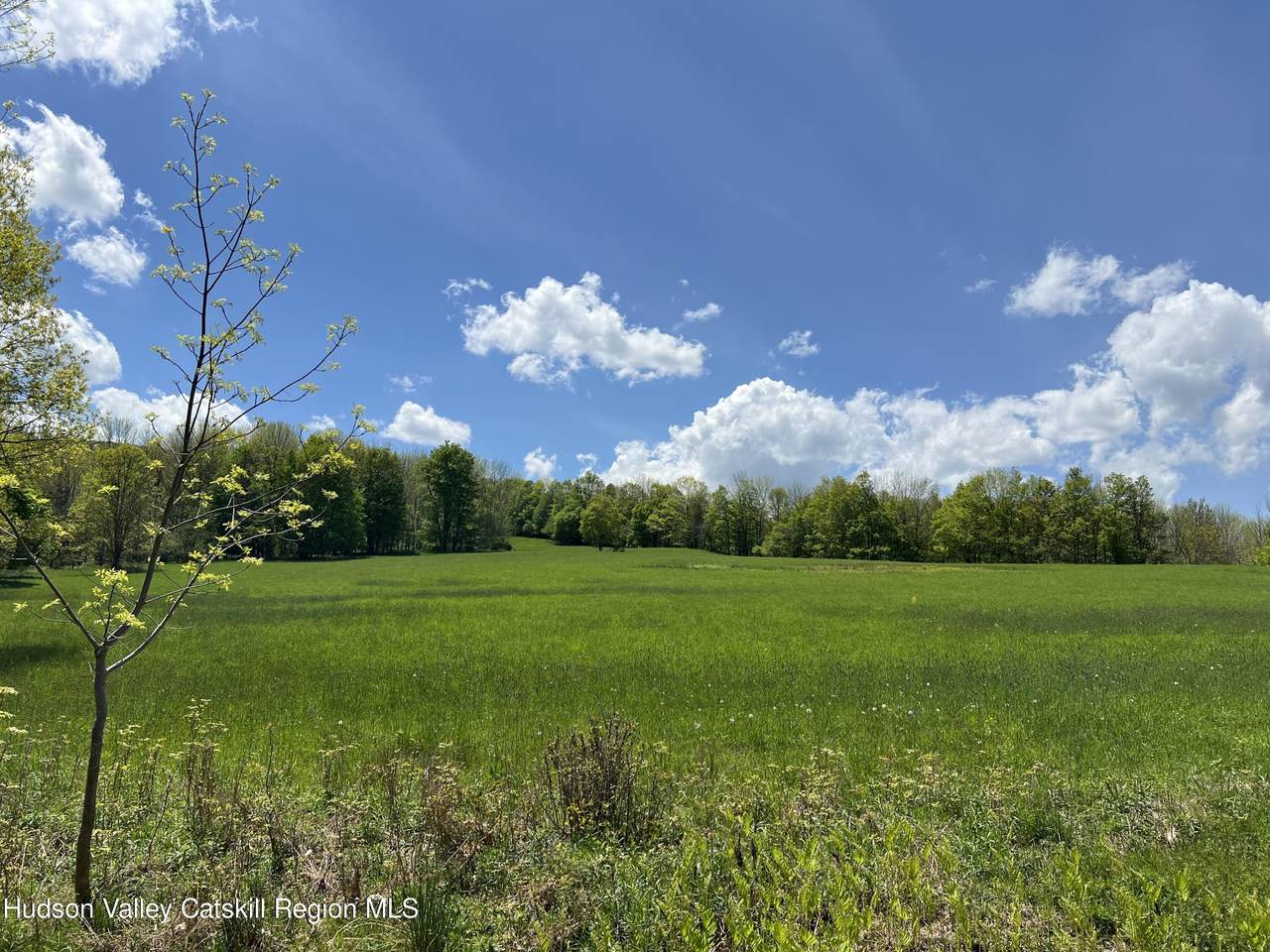 164 Ray Cottone Road - Photo 1