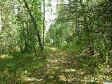 0 Dam Road - Photo 11