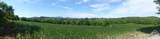 0 Dam Road - Photo 5