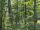 0 Cascade Mountain Road - Photo 10