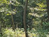 0 Cascade Mountain Road - Photo 12