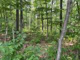 0 Cascade Mountain Road - Photo 14