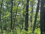 0 Cascade Mountain Road - Photo 9