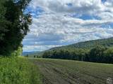 0 Cascade Mt Perrys Corners Road - Photo 18