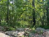 0 Cascade Mt Perrys Corners Road - Photo 21