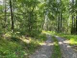 0 Cascade Mt Perrys Corners Road - Photo 22