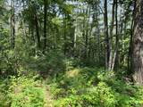 0 Cascade Mt Perrys Corners Road - Photo 23