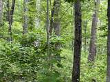 0 Cascade Mt Perrys Corners Road - Photo 24