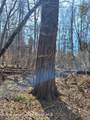 0 Wachter Blvd - Photo 18