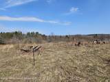 295 Shellstone Rd - Photo 16