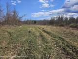 295 Shellstone Rd - Photo 31
