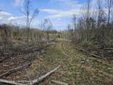 295 Shellstone Rd - Photo 35