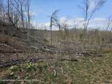 295 Shellstone Rd - Photo 36