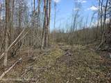 295 Shellstone Rd - Photo 39