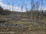 295 Shellstone Rd - Photo 41