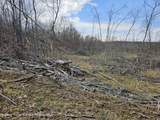 295 Shellstone Rd - Photo 42