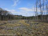 295 Shellstone Rd - Photo 46