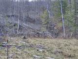 295 Shellstone Rd - Photo 49