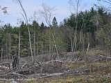 295 Shellstone Rd - Photo 51