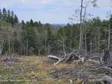 295 Shellstone Rd - Photo 52