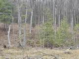 295 Shellstone Rd - Photo 57